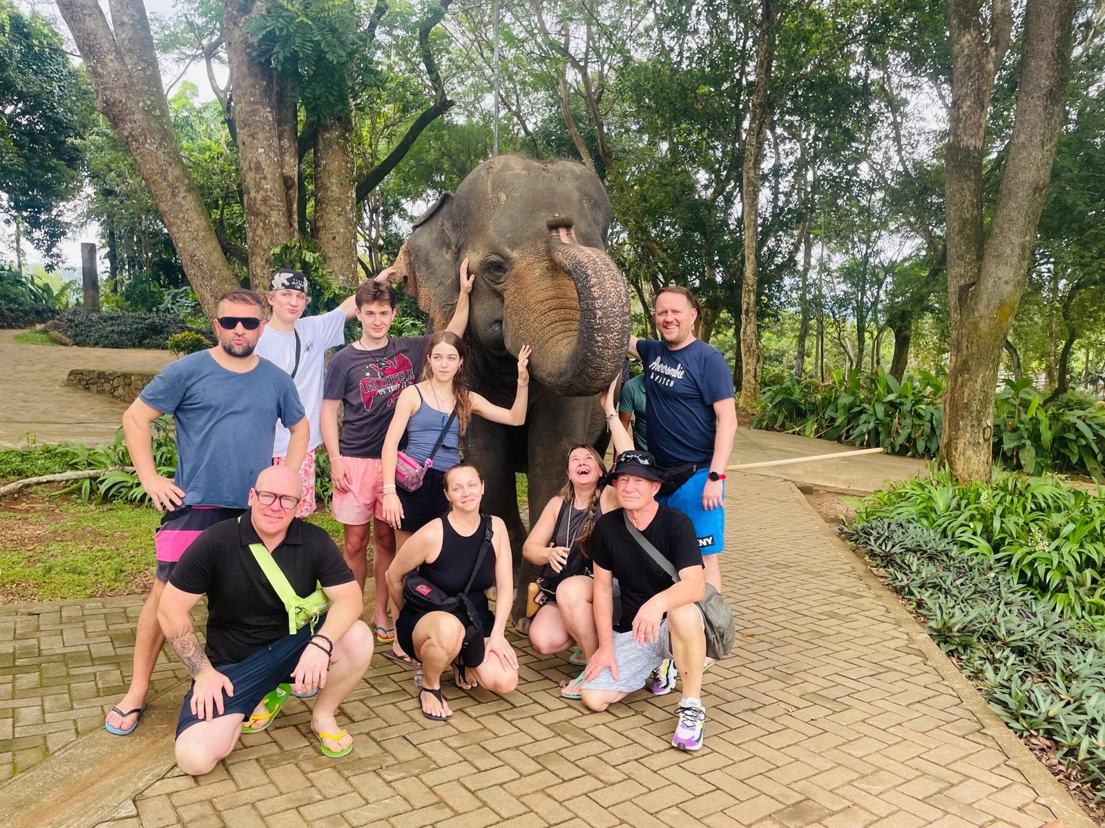 7 Days Sri Lanka Hill Country & Wildlife Tour with Hotels